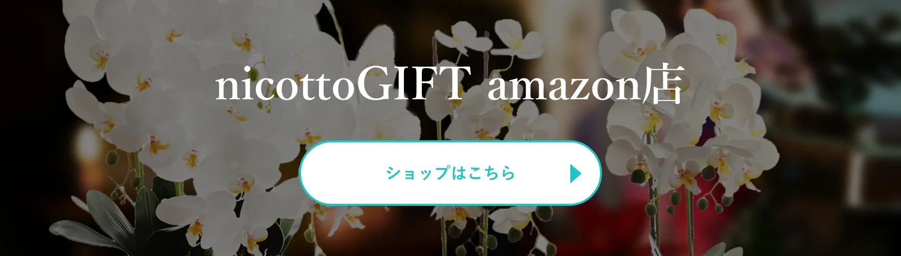 nicottoGIFT amazon店
